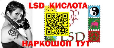 дмт Будённовск