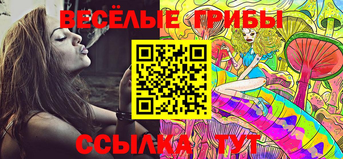 Псилоцибиновые грибы MAGIC MUSHROOMS  Вход с VPN  Волхов 