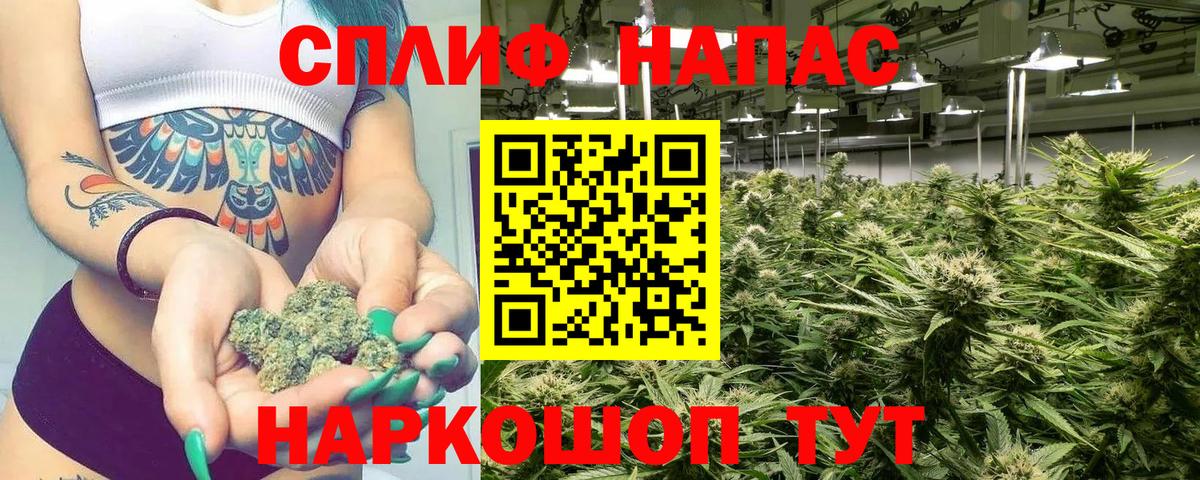 Бошки Шишки сатива Волхов